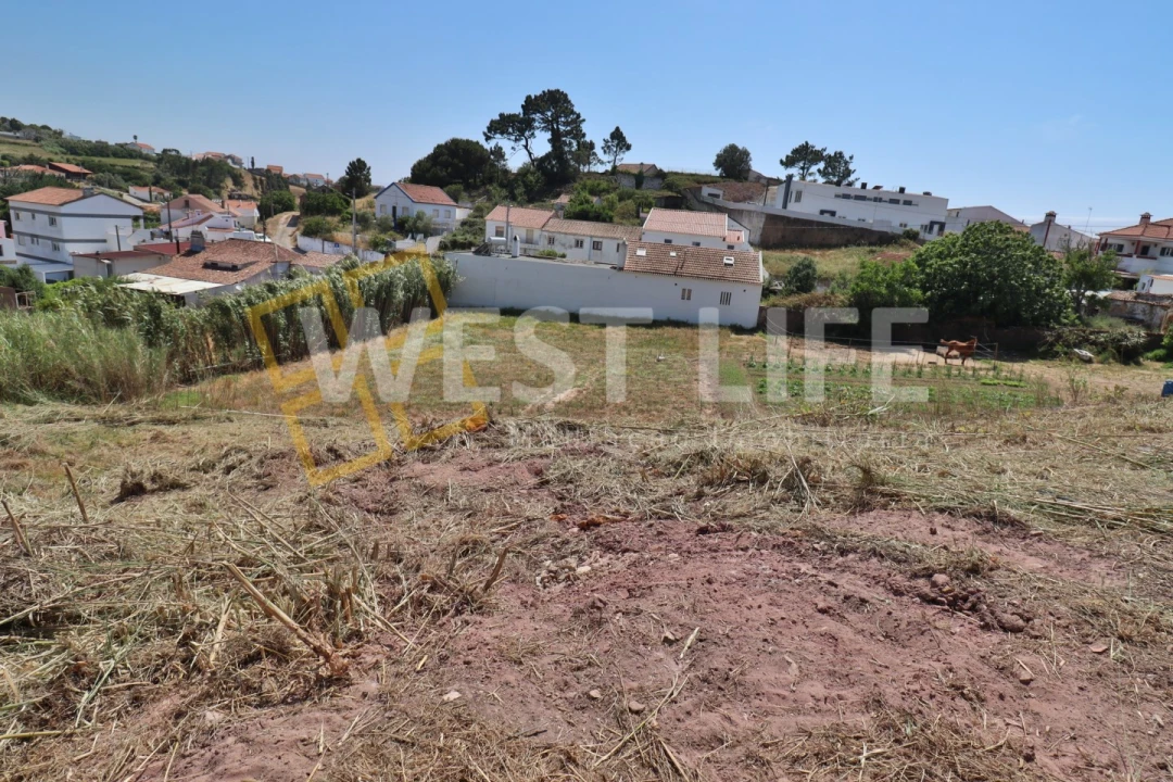 Terreno para Venda em Ericeira Foto 9