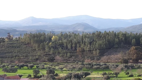 Moradia T2 para Venda em Salgueiro do Campo