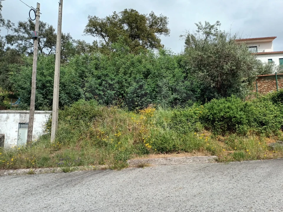 Terreno para Venda em Salgueiro do Campo Foto 2
