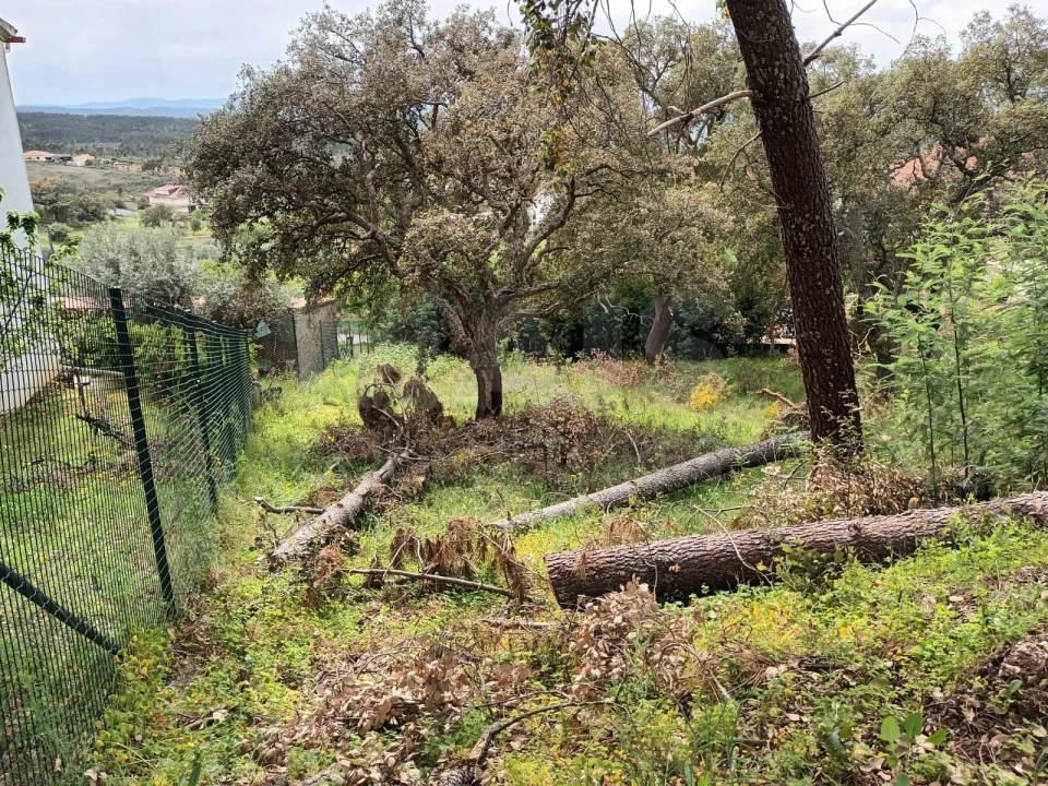 Terreno para Venda em Salgueiro do Campo Foto 8
