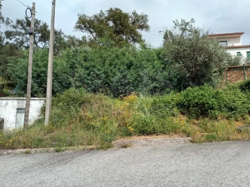 Terreno para Venda em Salgueiro do Campo