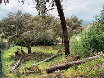 Terreno para Venda em Salgueiro do Campo