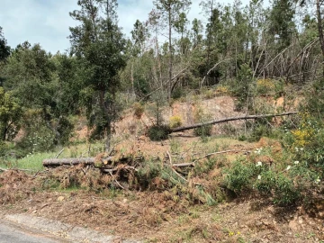 Terreno para Venda em Salgueiro do Campo
