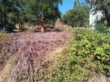 Terreno para Venda em Salgueiro do Campo