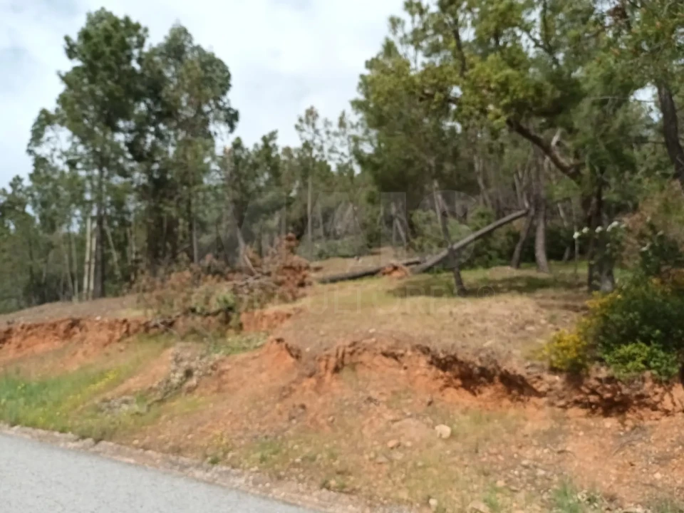 Terreno para Venda em Salgueiro do Campo Foto 11
