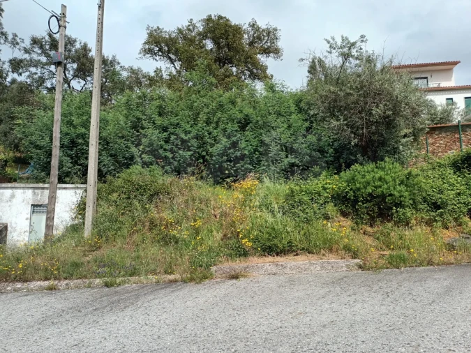 Terreno para Venda em Salgueiro do Campo Foto 2