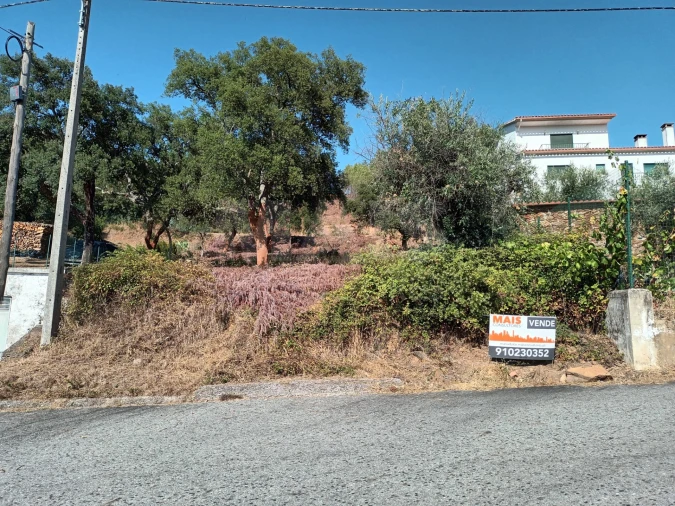 Terreno para Venda em Salgueiro do Campo Foto 4
