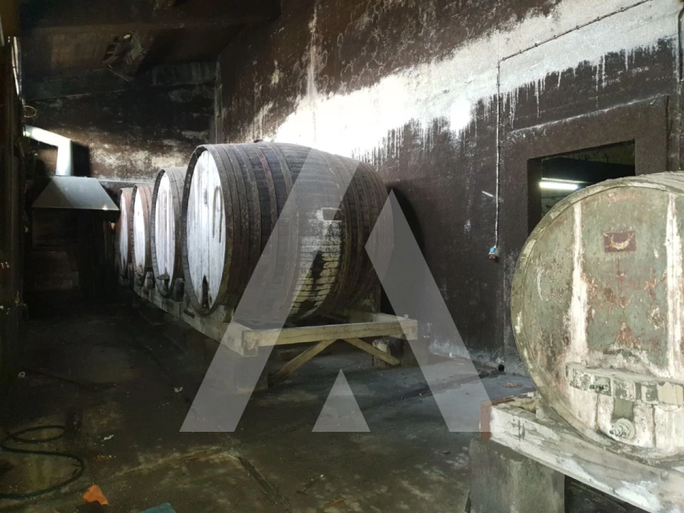 Negócio para Venda em Arcos e Mogofores Foto 8
