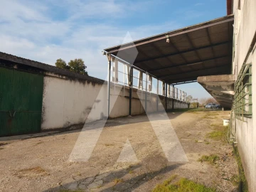 Negócio para Venda em Arcos e Mogofores
