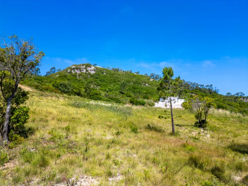 Terreno para Venda em Famalicão Foto 11