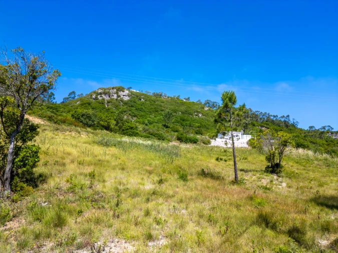 Terreno para Venda em Famalicão Foto 11