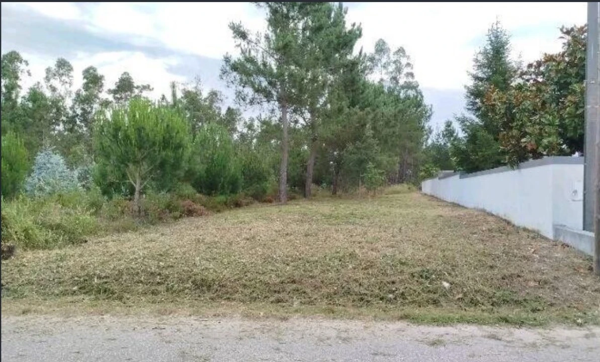 Terreno para Venda em Arazede Foto 2