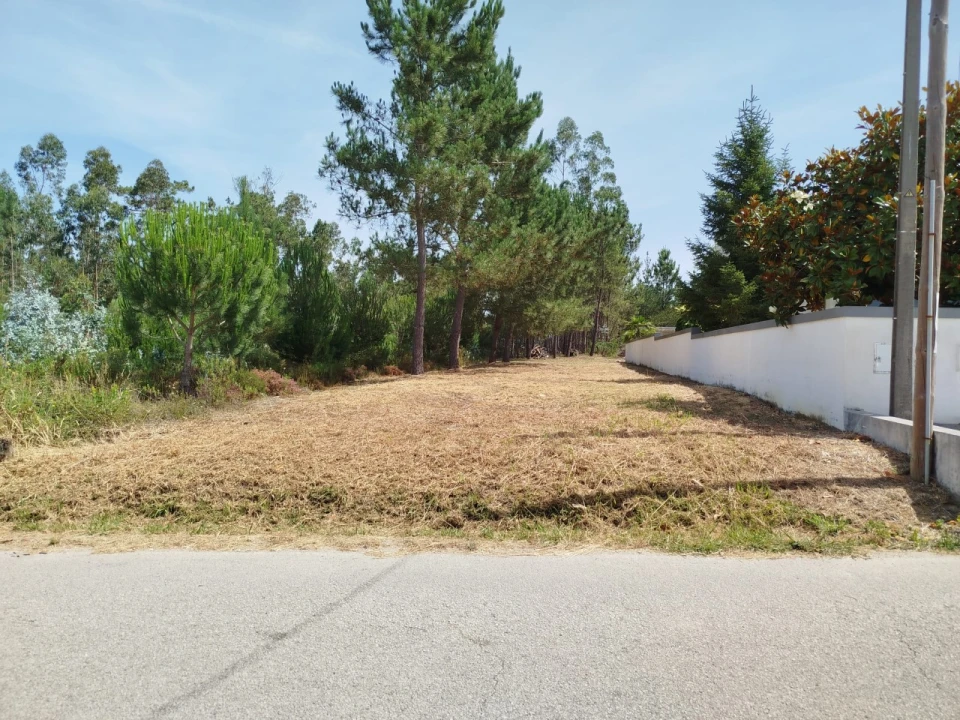 Terreno para Venda em Arazede Foto 1
