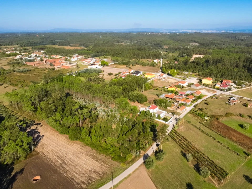 Terreno para Venda em Arazede Foto 7