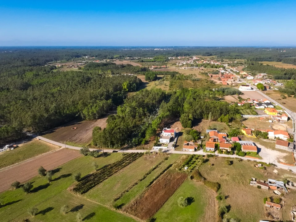 Terreno para Venda em Arazede Foto 8