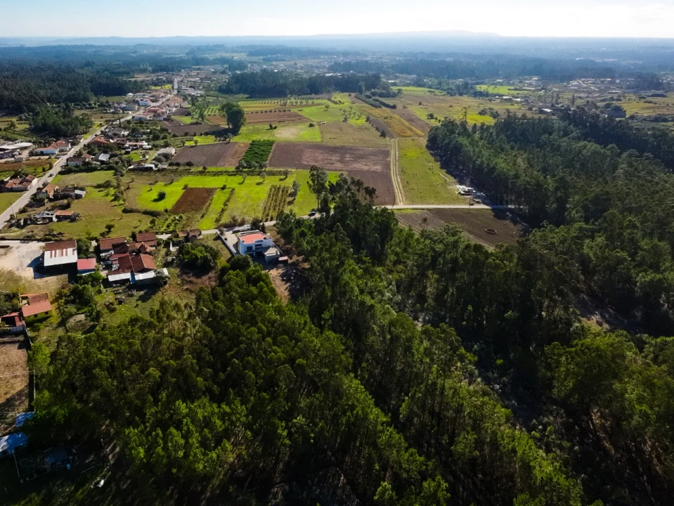 Terreno para Venda em Arazede Foto 10