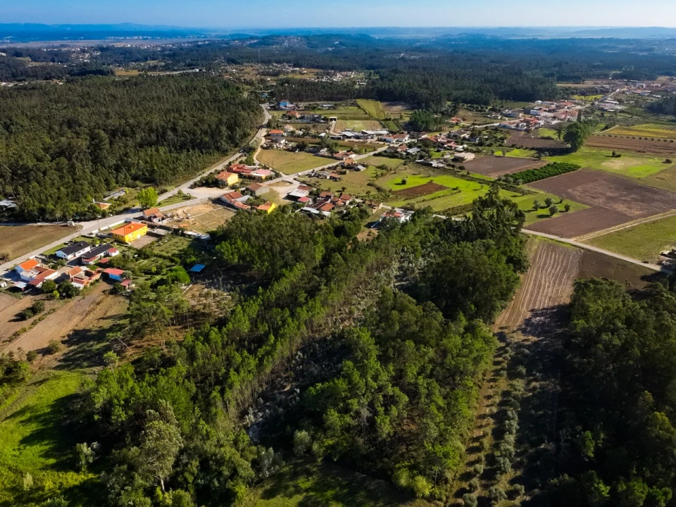 Terreno para Venda em Arazede Foto 12