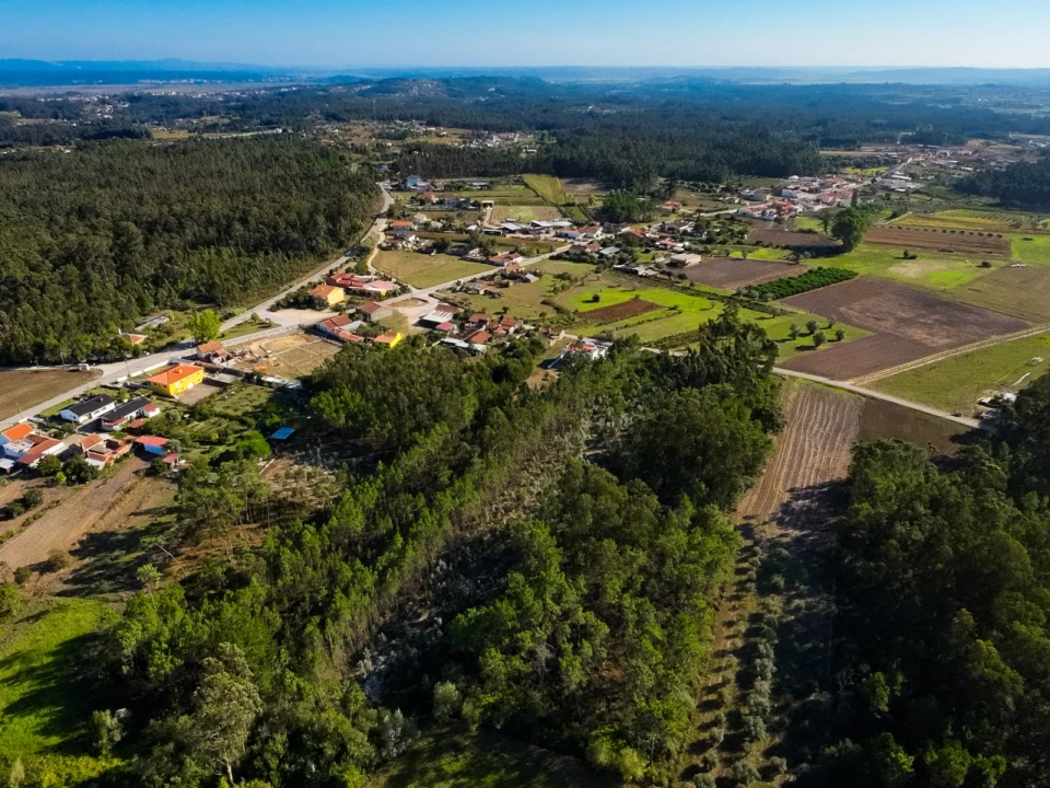 Terreno para Venda em Arazede Foto 13