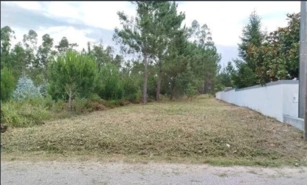 Terreno para Venda em Arazede