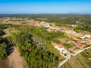 Terreno para Venda em Arazede