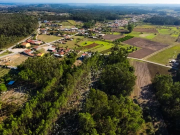 Terreno para Venda em Arazede