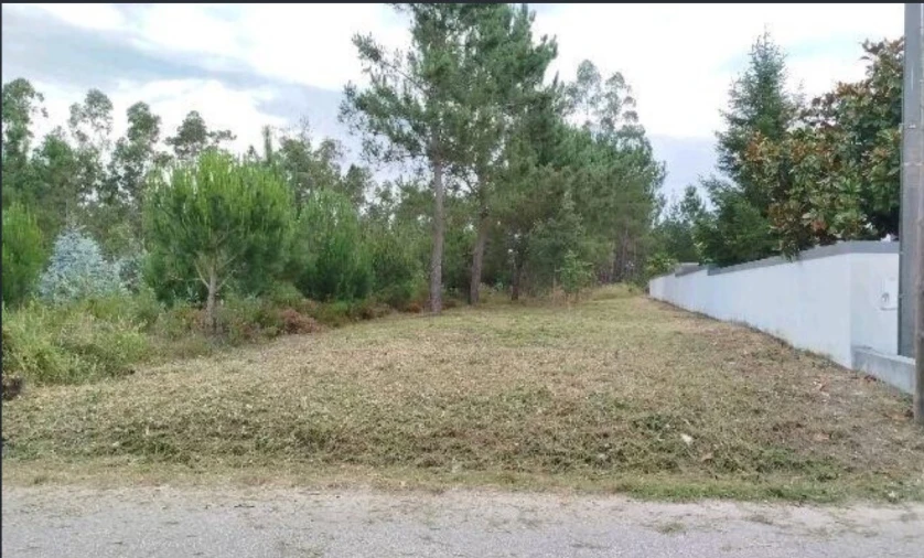 Terreno para Venda em Arazede Foto 2