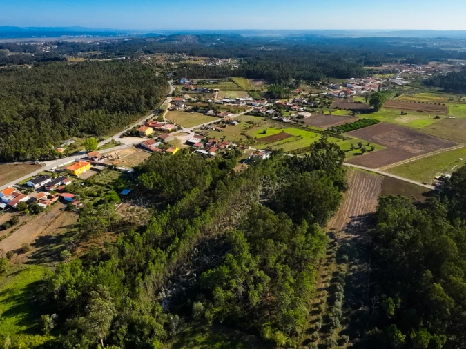 Terreno para Venda em Arazede Foto 13