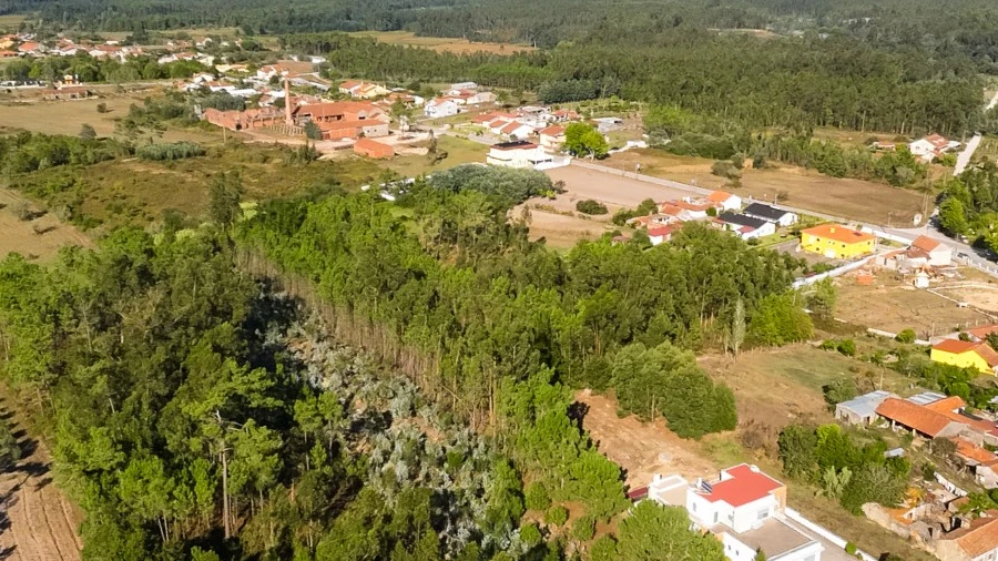 Terreno para Venda em Arazede