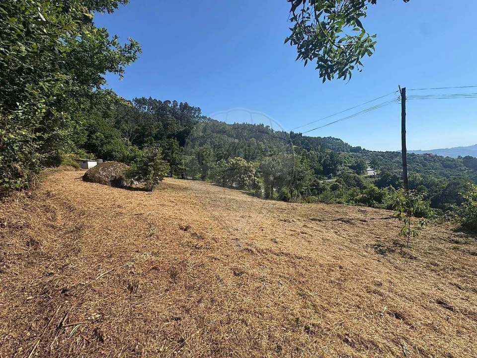 Terreno para Venda em Ventosa e Cova Foto 14