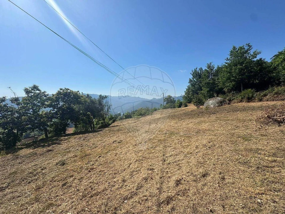 Terreno para Venda em Ventosa e Cova Foto 20