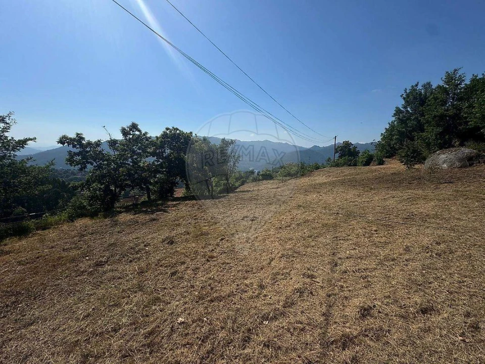 Terreno para Venda em Ventosa e Cova Foto 21