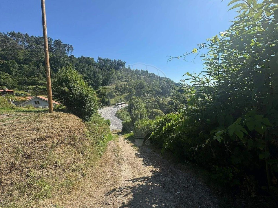 Terreno para Venda em Ventosa e Cova Foto 9