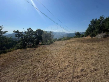 Terreno para Venda em Ventosa e Cova