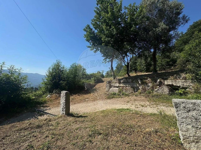 Terreno para Venda em Ventosa e Cova Foto 11