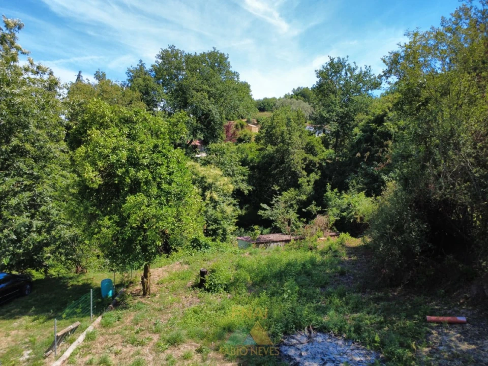 Terreno para Venda em Guilhadeses e Santar Foto 8