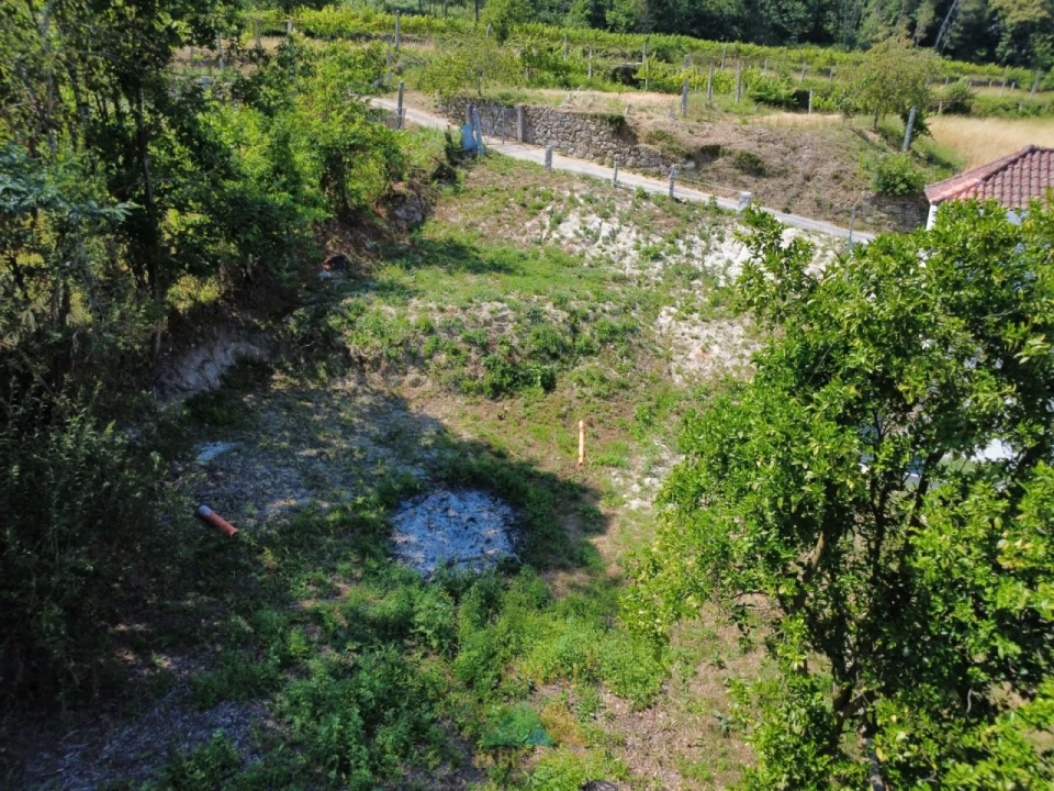 Terreno para Venda em Guilhadeses e Santar Foto 6