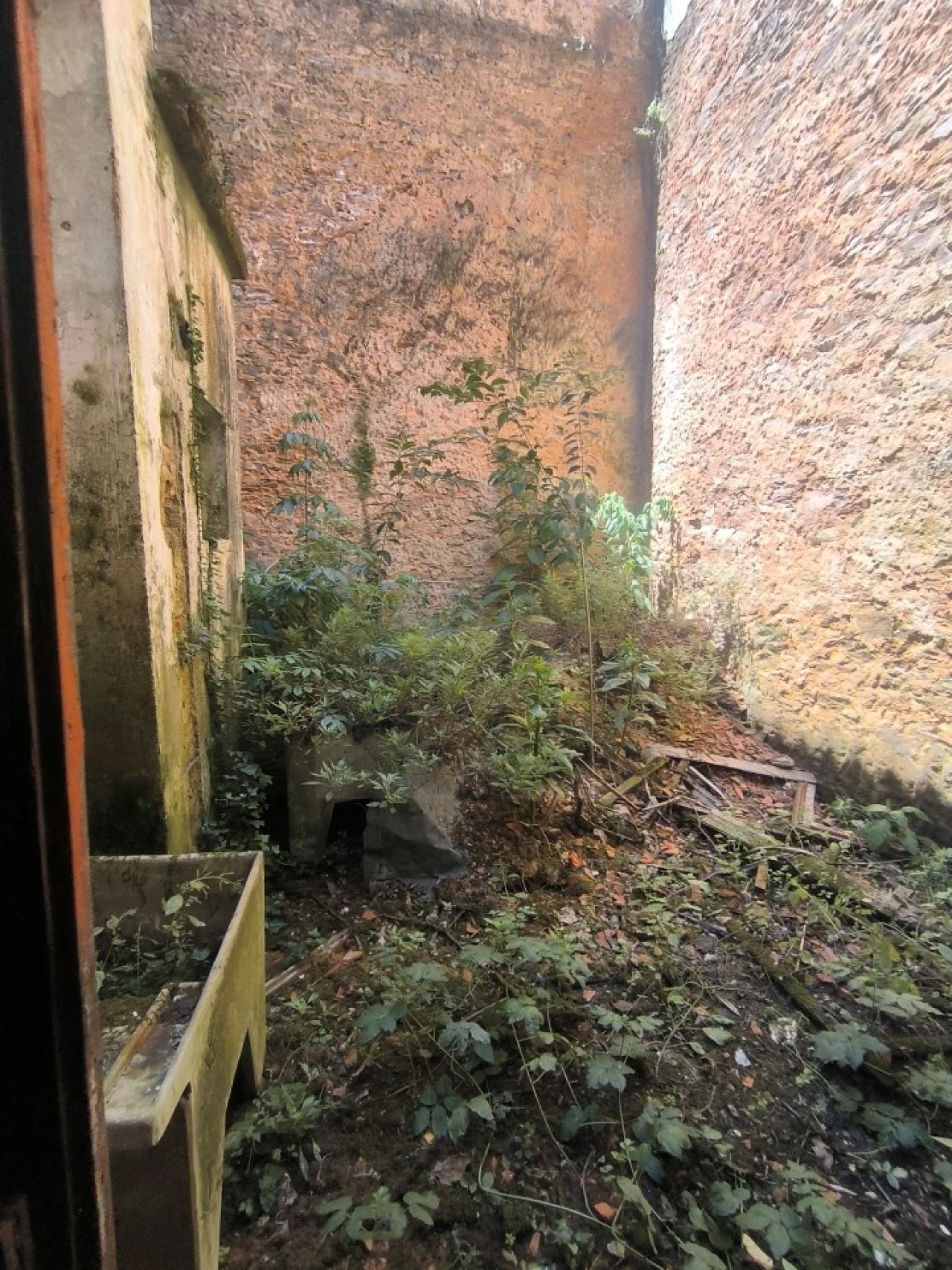 Prédio para Venda em Abrantes (São Vicente e São João) e Alferrarede Foto 9