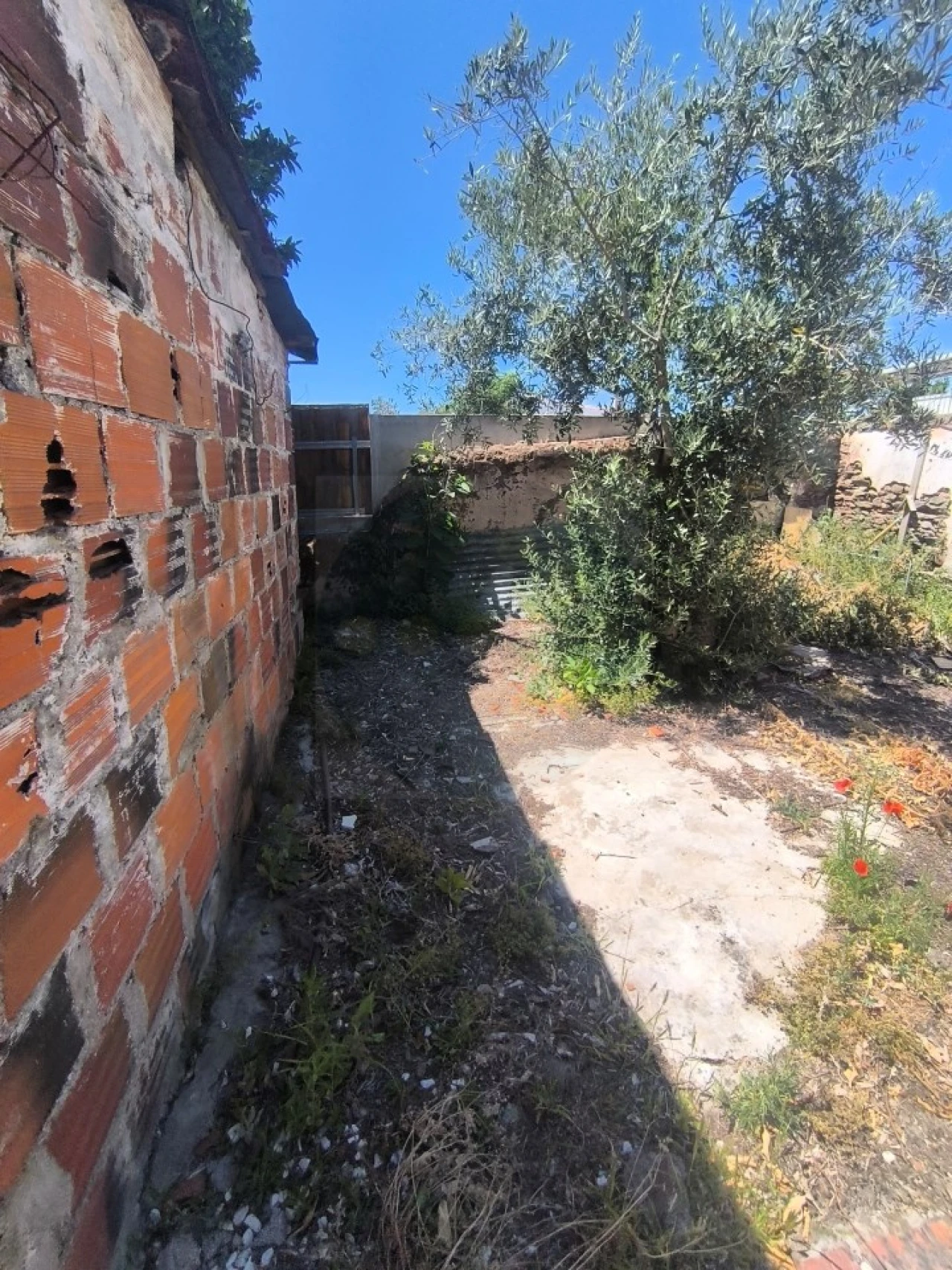 Prédio para Venda em Abrantes (São Vicente e São João) e Alferrarede Foto 22