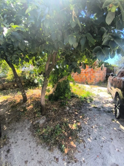 Prédio para Venda em Abrantes (São Vicente e São João) e Alferrarede