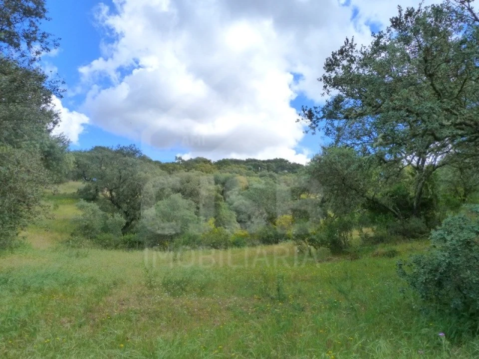 Quinta para Venda em Castanheira do Ribatejo e Cachoeiras Foto 1