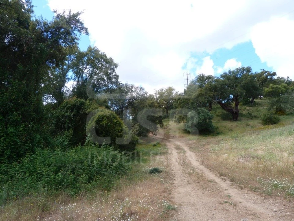 Quinta para Venda em Castanheira do Ribatejo e Cachoeiras Foto 2