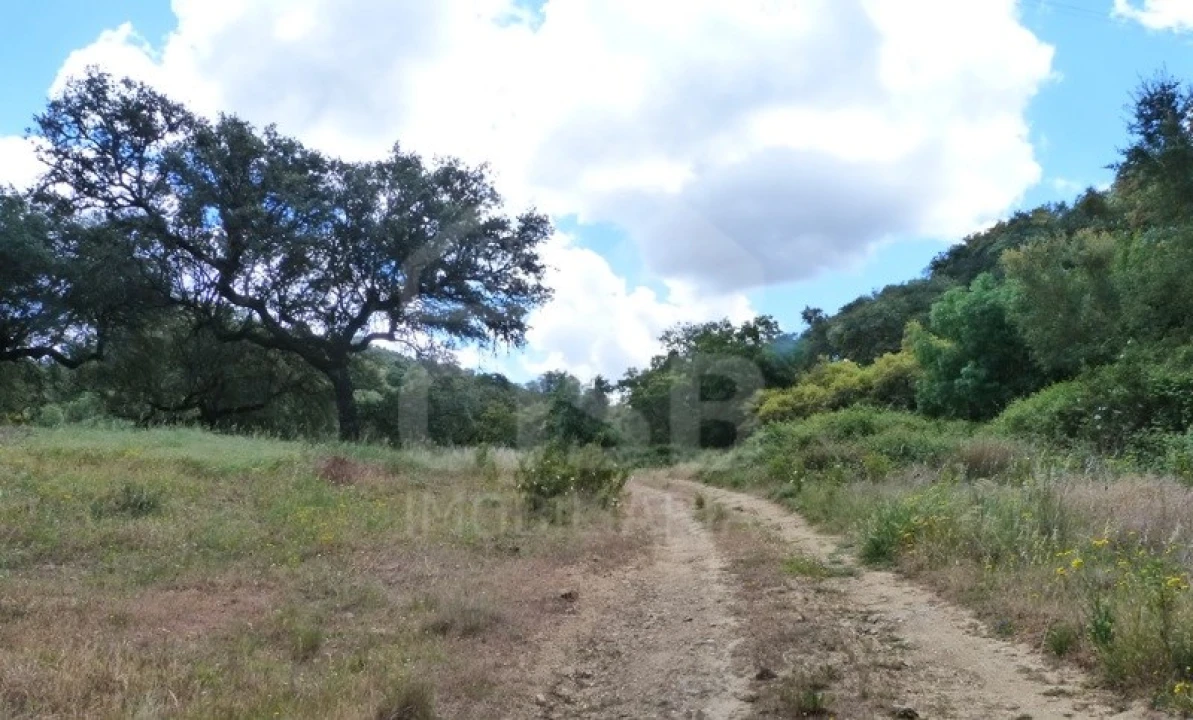 Quinta para Venda em Castanheira do Ribatejo e Cachoeiras Foto 3