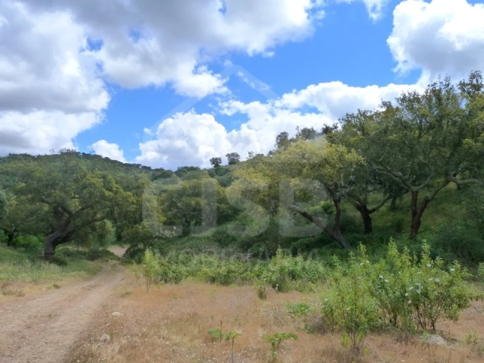 Quinta para Venda em Castanheira do Ribatejo e Cachoeiras Foto 4