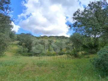 Quinta para Venda em Castanheira do Ribatejo e Cachoeiras