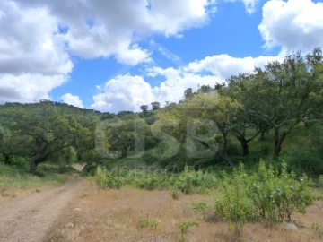 Quinta para Venda em Castanheira do Ribatejo e Cachoeiras