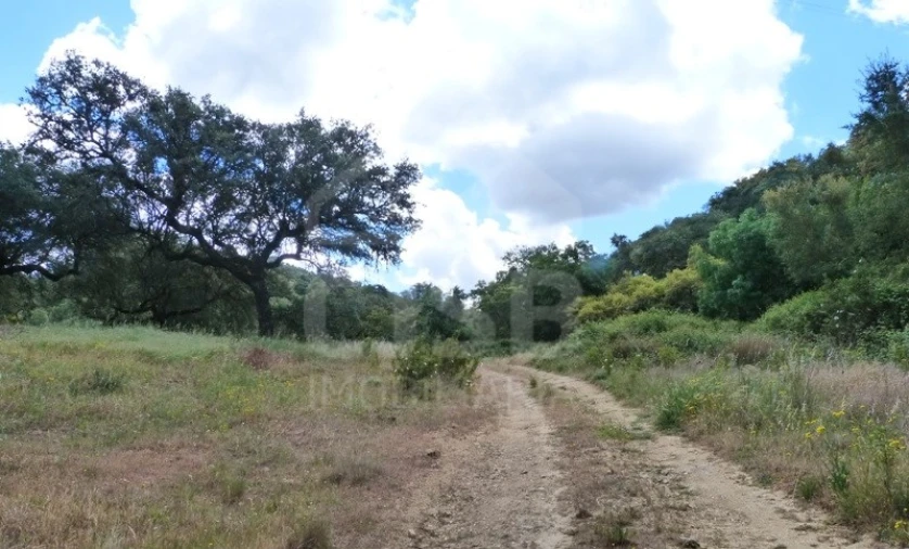 Quinta para Venda em Castanheira do Ribatejo e Cachoeiras Foto 3