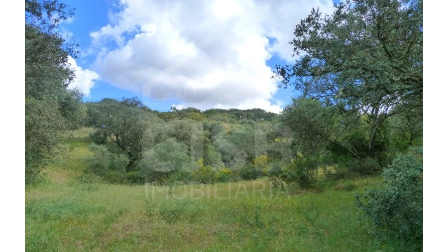Quinta para Venda em Castanheira do Ribatejo e Cachoeiras
