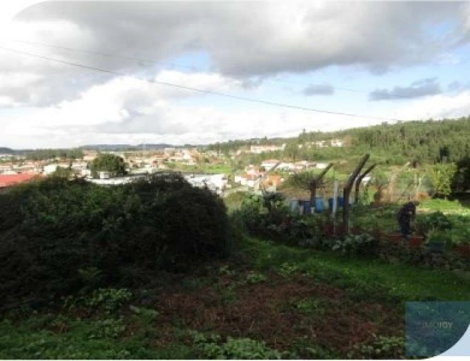 Terreno para Venda em Nogueira da Regedoura Foto 2