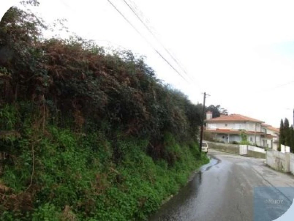 Terreno para Venda em Nogueira da Regedoura Foto 4