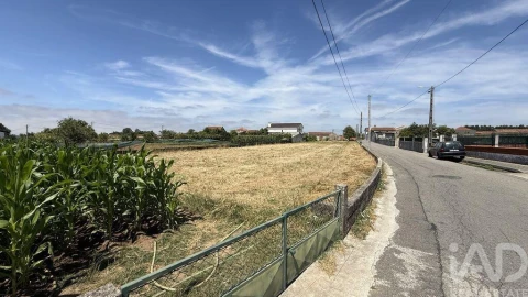 Terreno para Venda em Glória e Vera Cruz